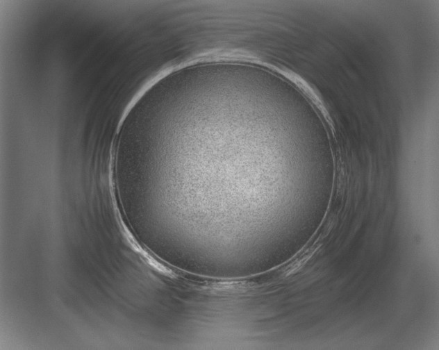 X0000083001390200702160038