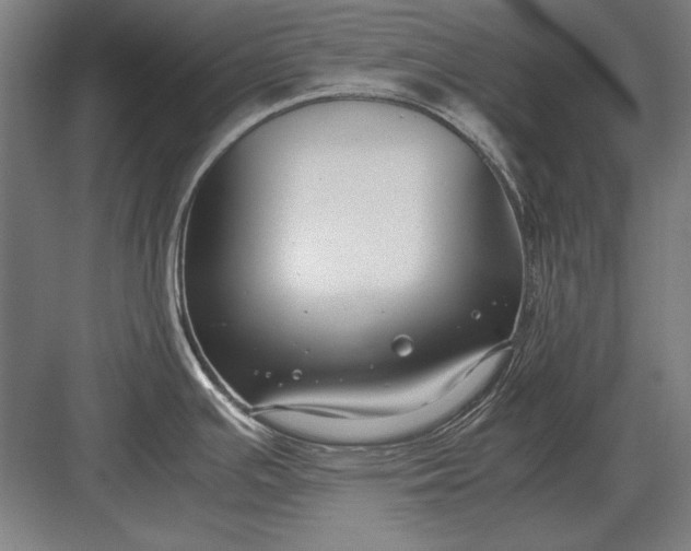 X0000083001391200702160038