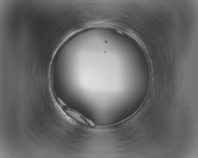 X0000083001392200702160038