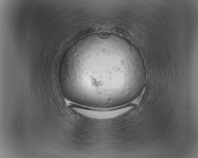 X0000083001393200702160037