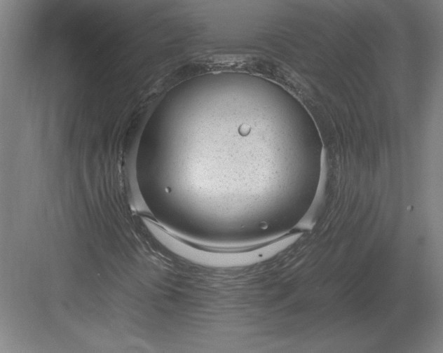 X0000083001394200702160037