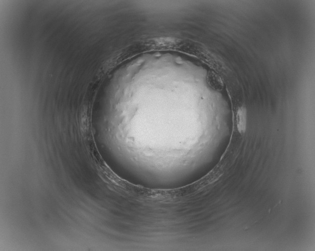 X0000083001395200702160037