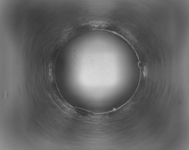 X0000083001396200702160037