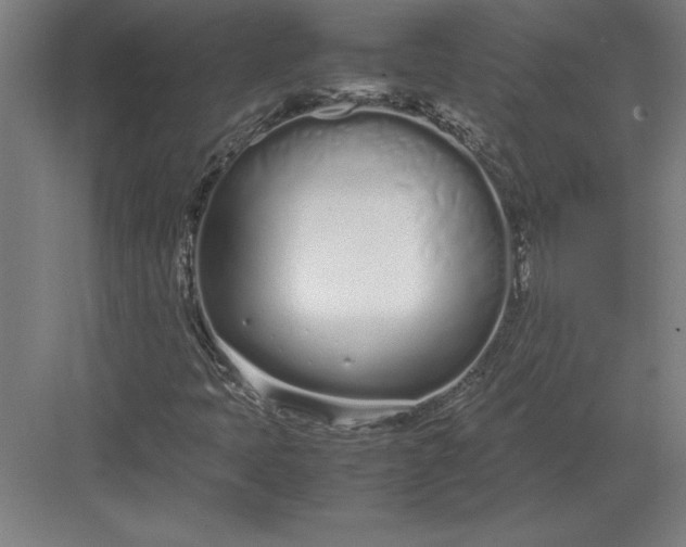 X0000083001397200702160037