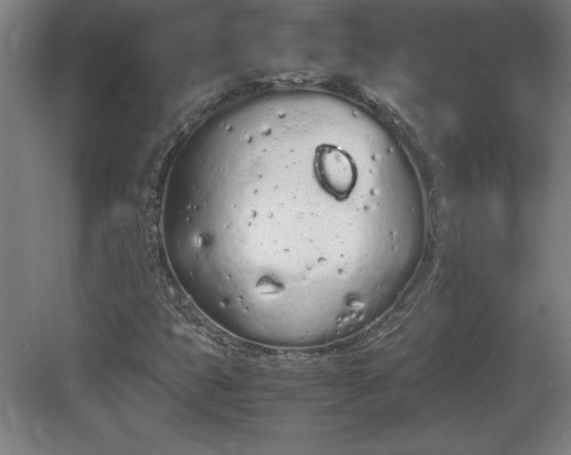 X0000083001399200702160037