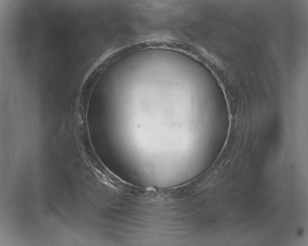 X0000083001400200702160037