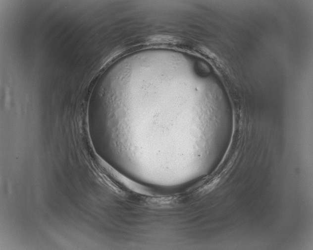 X0000083001401200702160037