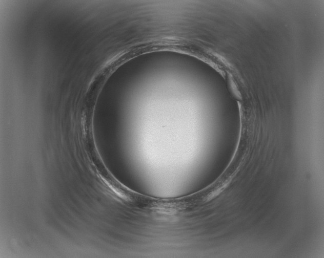 X0000083001402200702160037