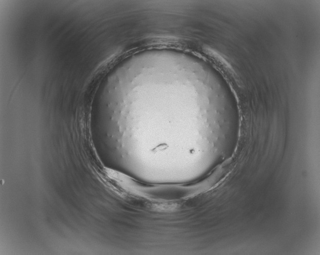 X0000083001403200702160037