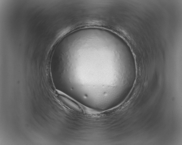 X0000083001405200702160037