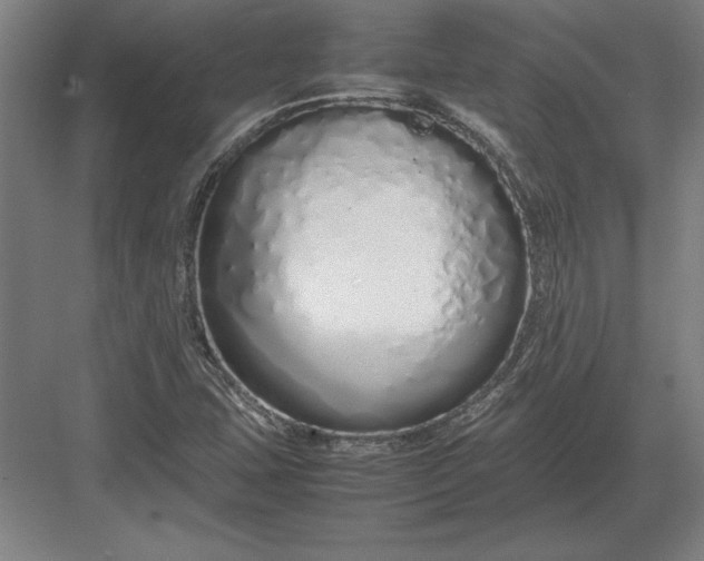 X0000083001407200702160037