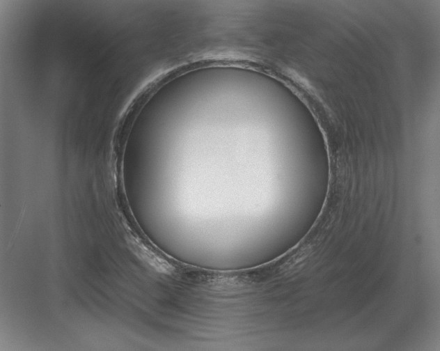 X0000083001408200702160037