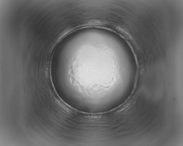 X0000083001409200702160037