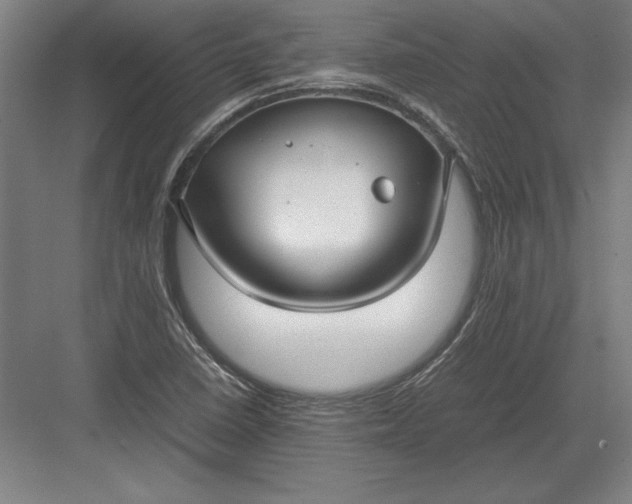 X0000083001410200702160037