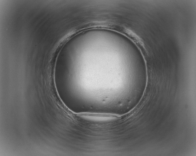 X0000083001411200702160037