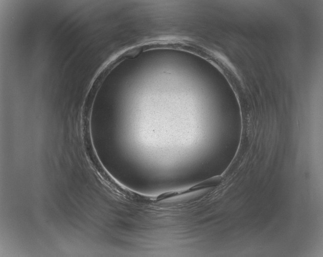 X0000083001412200702160037