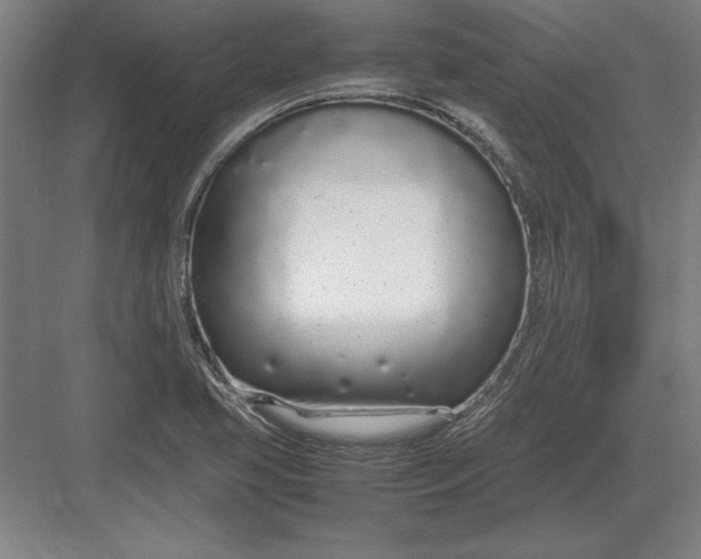 X0000083001413200702160037