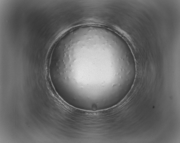 X0000083001415200702160037