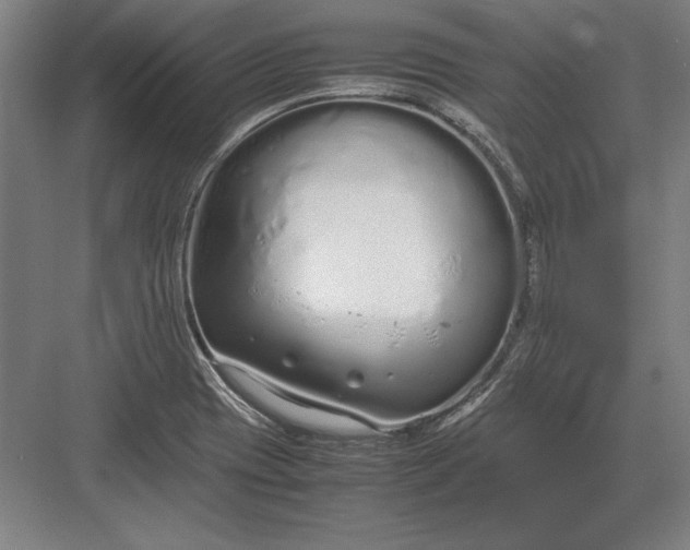 X0000083001417200702160037