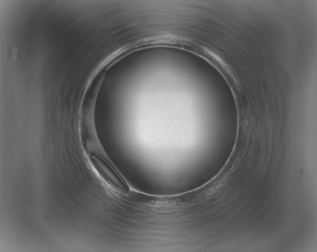 X0000083001418200702160038