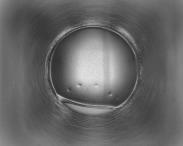 X0000083001419200702160038