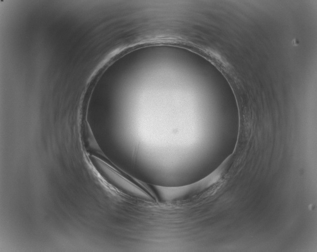 X0000083001422200702160038