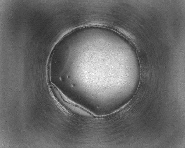 X0000083001423200702160038