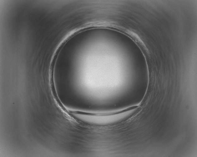 X0000083001424200702160038