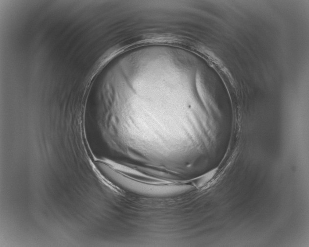 X0000083001425200702160038