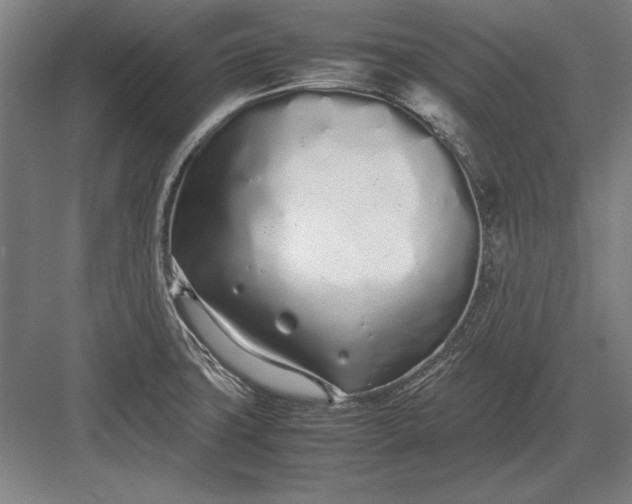 X0000083001427200702160038