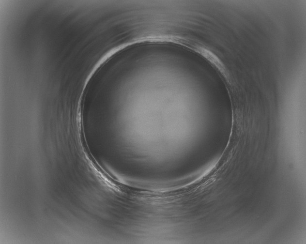 X0000083001428200702160038