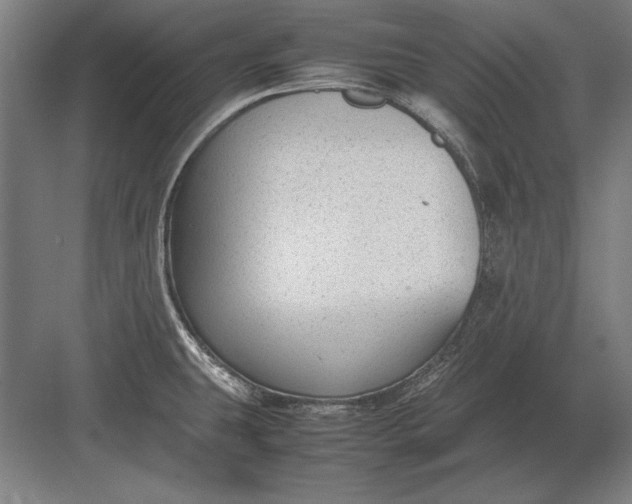 X0000083001431200702160038