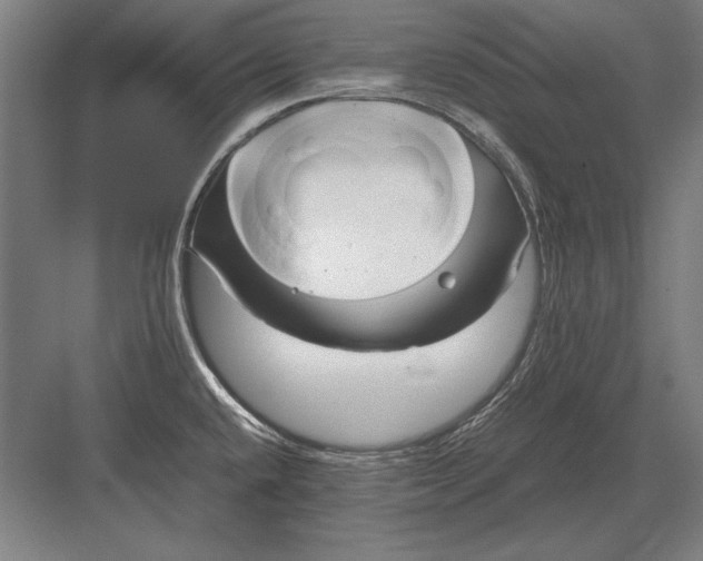 X0000083001432200702160038