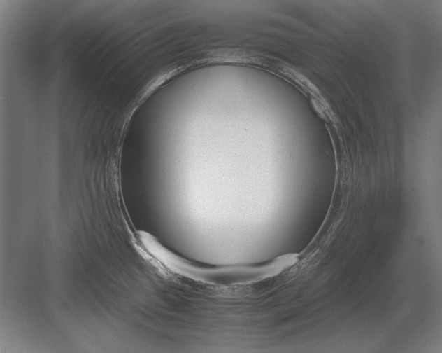 X0000083001433200702160038