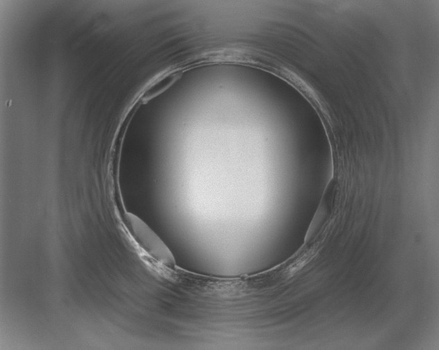 X0000083001434200702160038