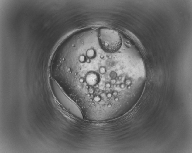 X0000083001435200702160038