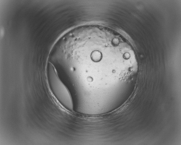 X0000083001436200702160038