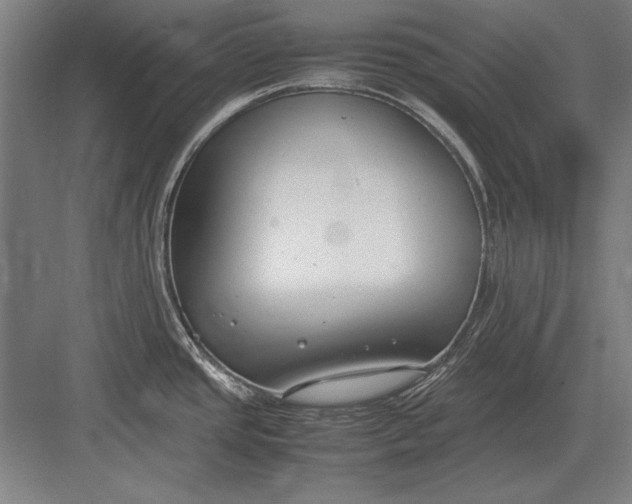 X0000083001437200702160038