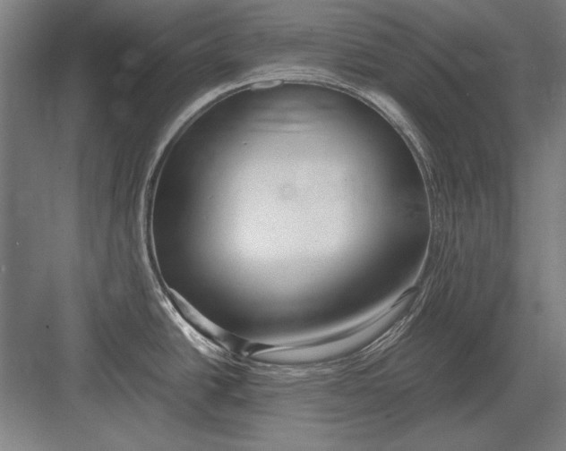 X0000083001438200702160038