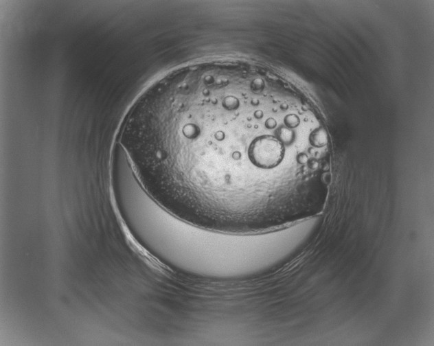 X0000083001439200702160038