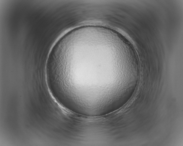 X0000083001440200702160038