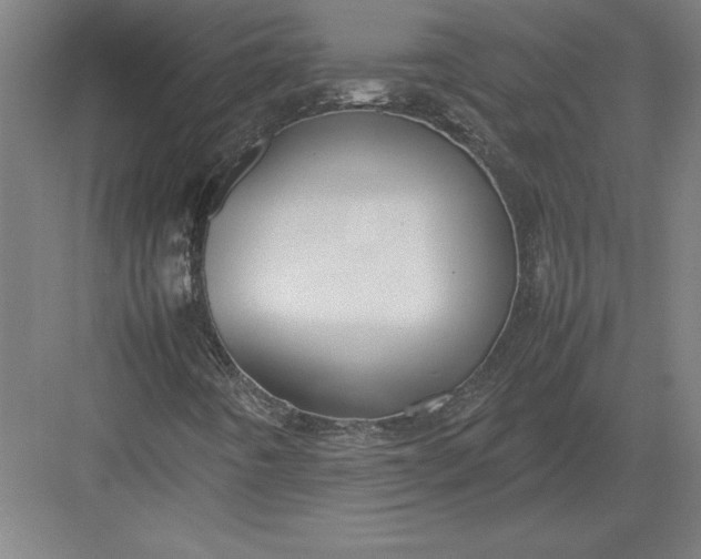 X0000083001442200702160037