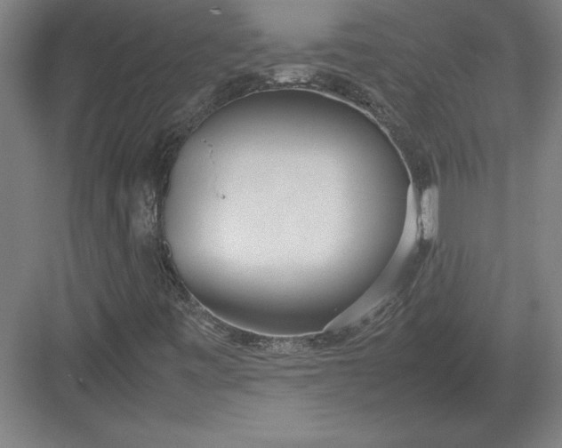 X0000083001443200702160037