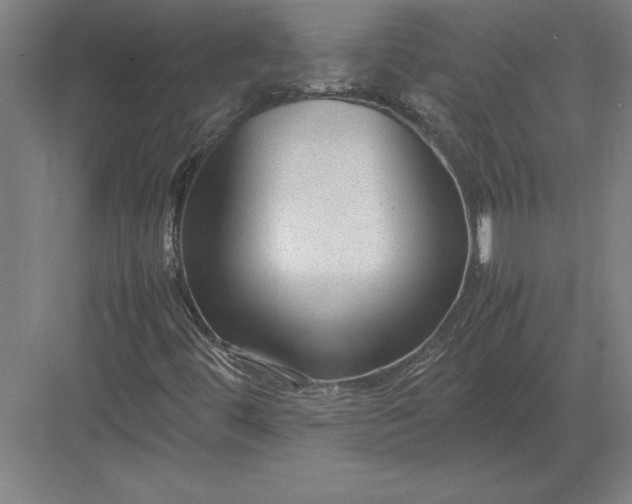 X0000083001444200702160037