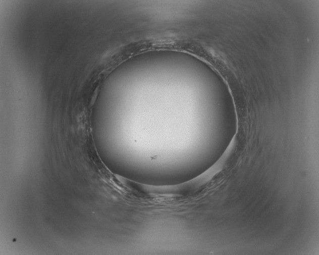 X0000083001445200702160037