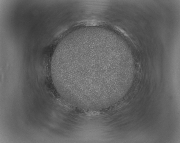 X0000083001446200702160037