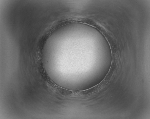 X0000083001447200702160037