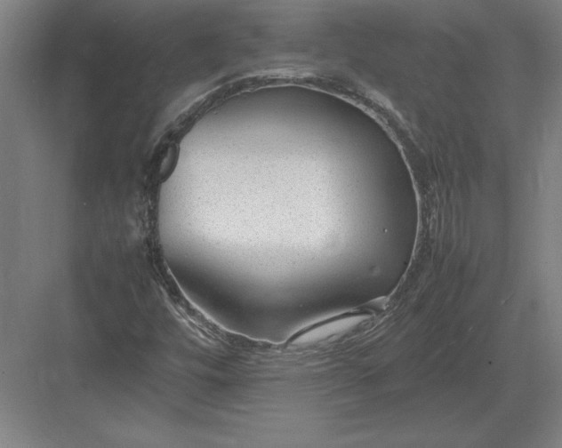 X0000083001448200702160037