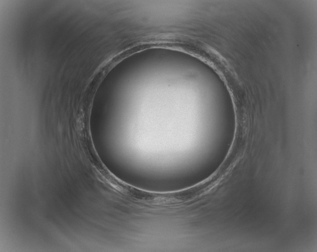 X0000083001449200702160037