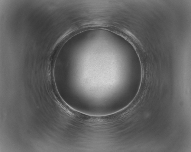 X0000083001450200702160037